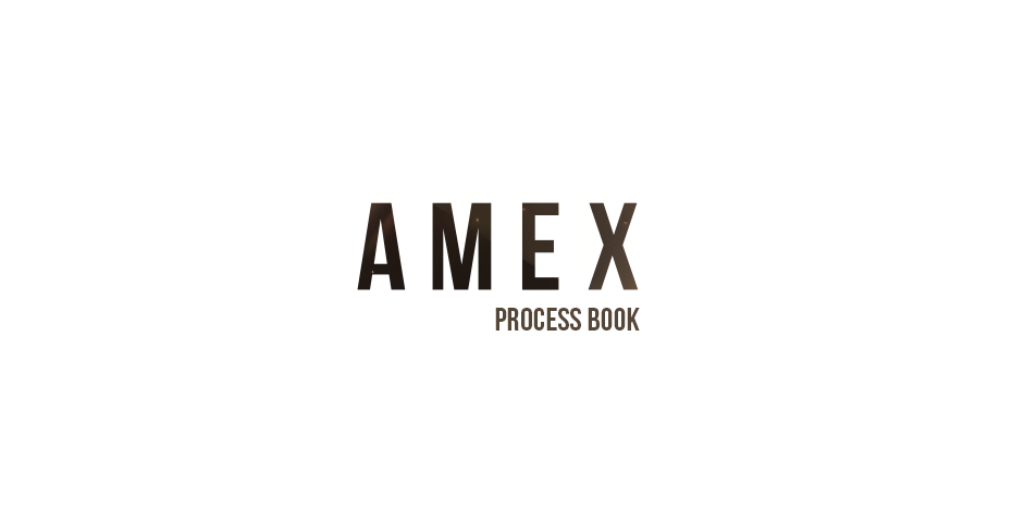 Process Book